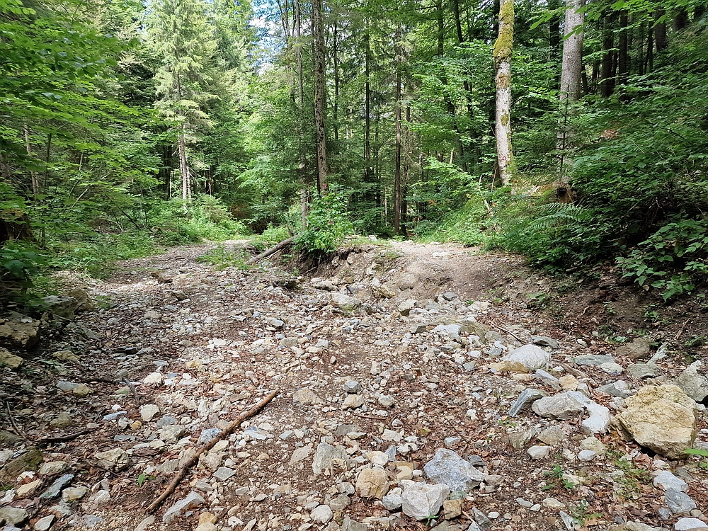 Slika je vidna v Google Chromu.