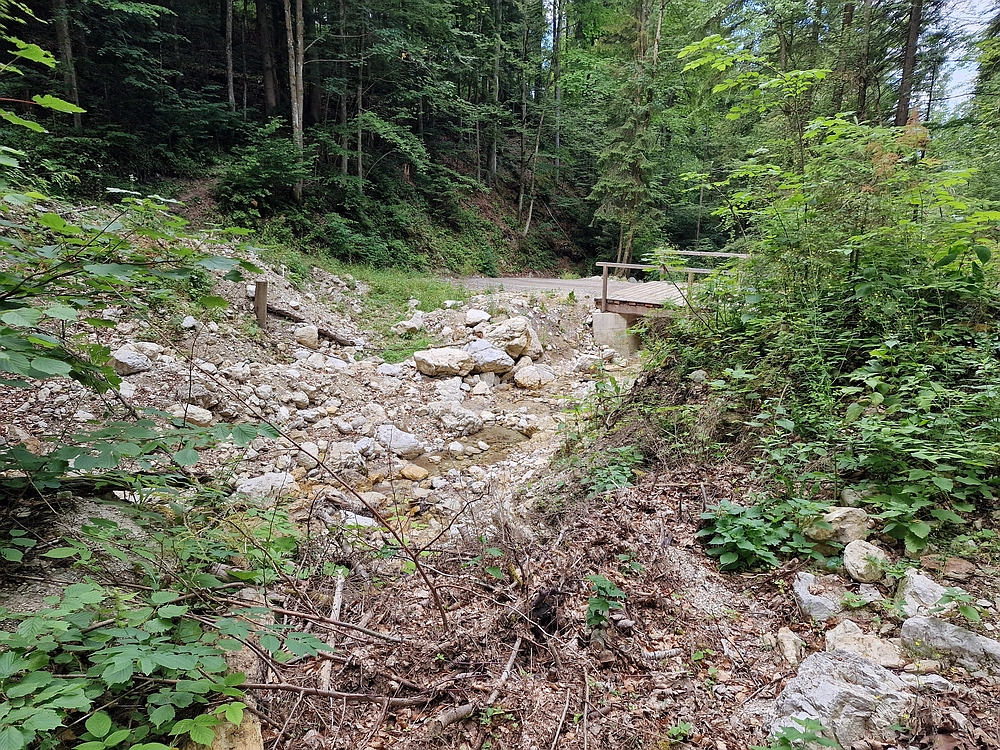 Slika je vidna v Google Chromu.