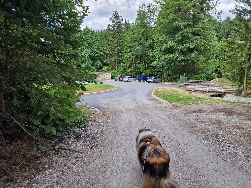 Slika je vidna v Google Chromu.