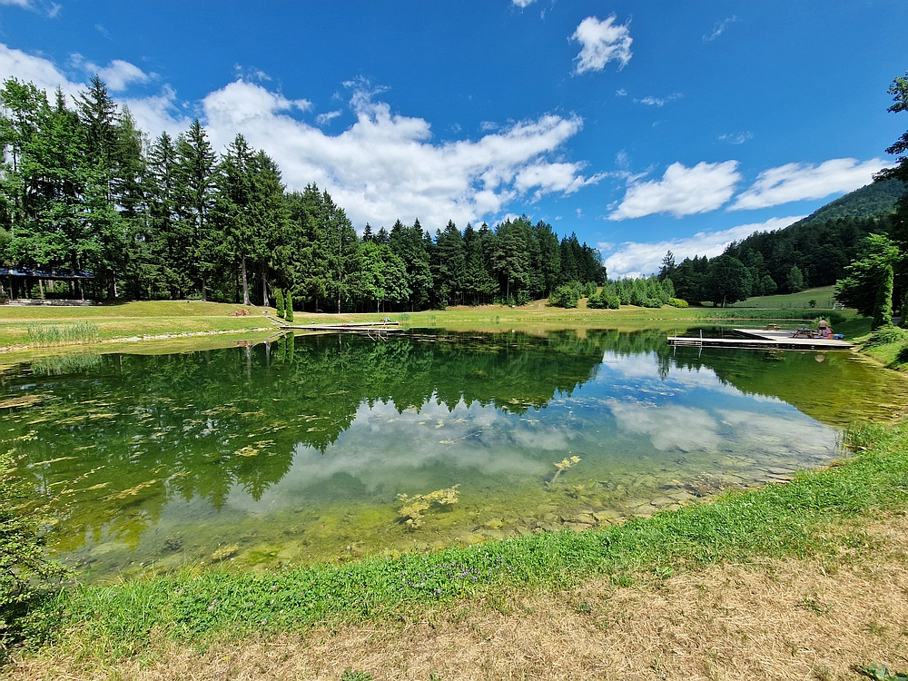 Slika je vidna v Google Chromu.