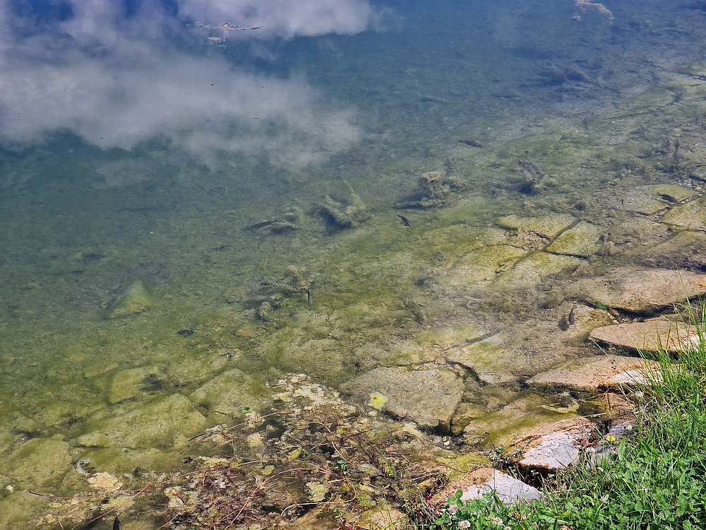 Slika je vidna v Google Chromu.