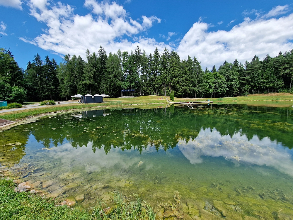 Slika je vidna v Google Chromu.
