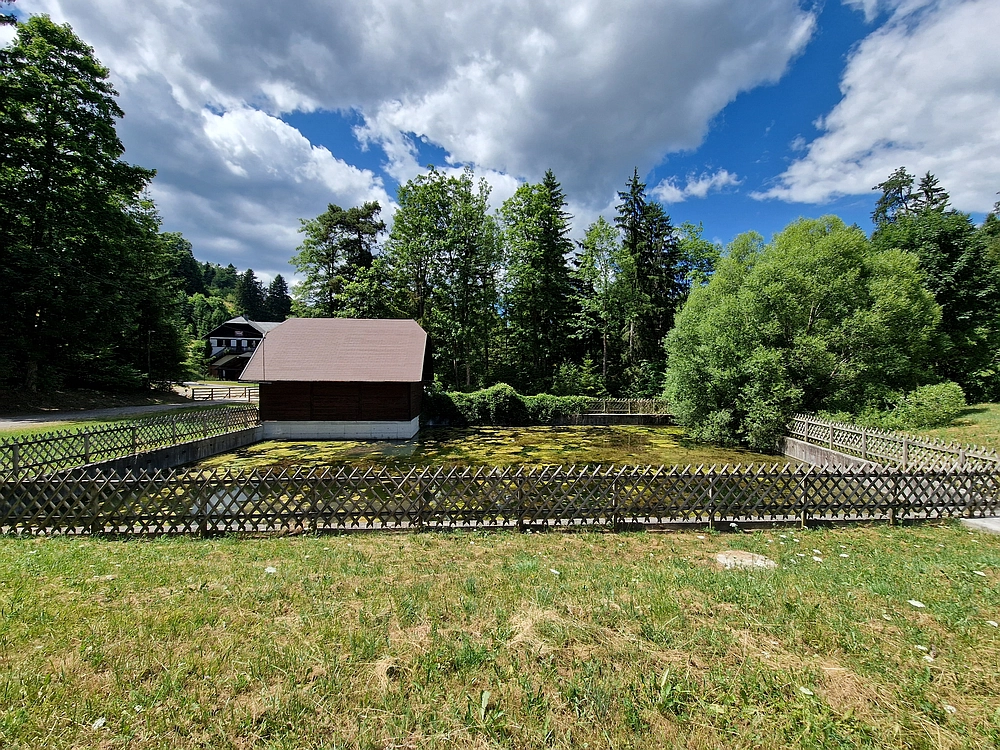 Slika je vidna v Google Chromu.