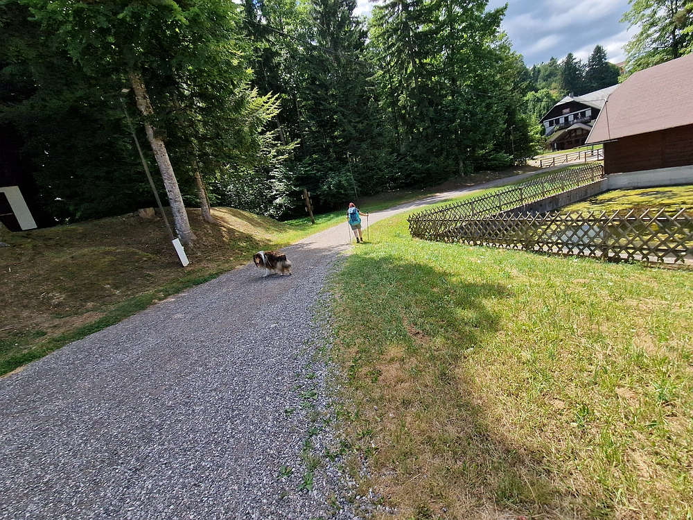 Slika je vidna v Google Chromu.