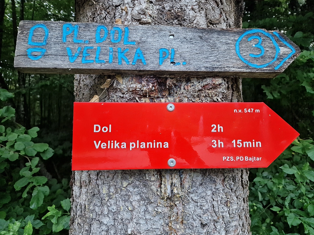 Slika je vidna v Google Chromu.