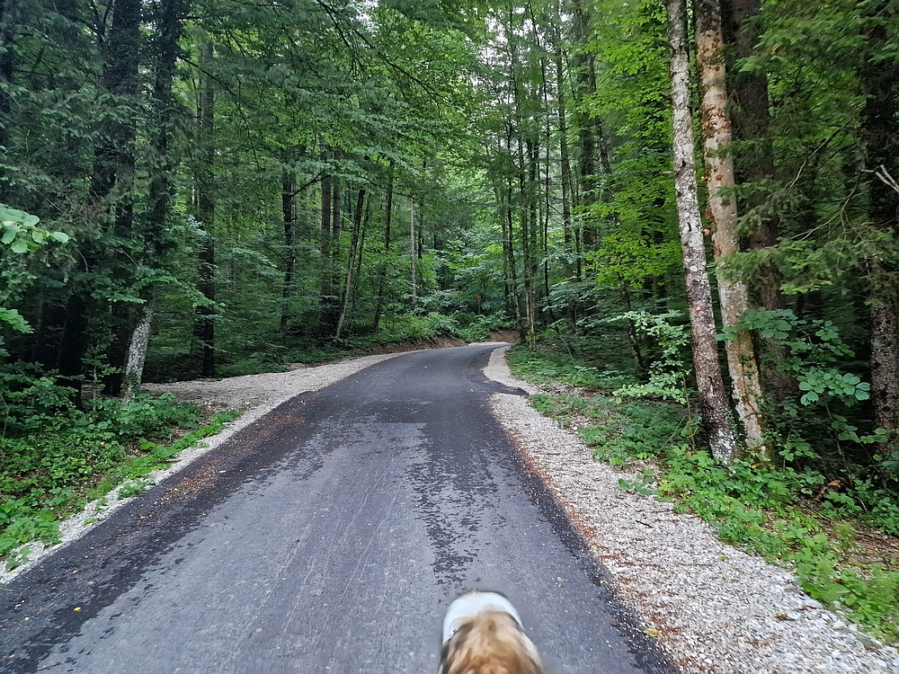 Slika je vidna v Google Chromu.