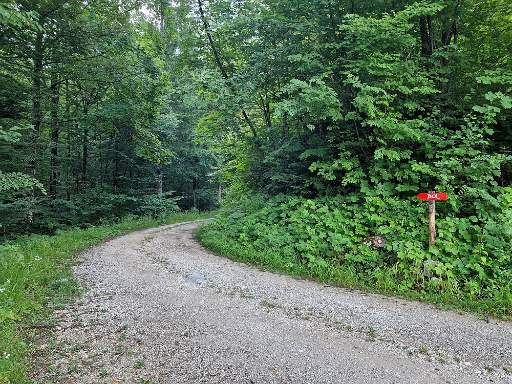 Slika je vidna v Google Chromu.
