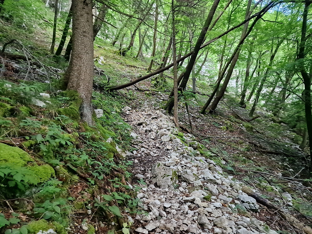 Slika je vidna v Google Chromu.