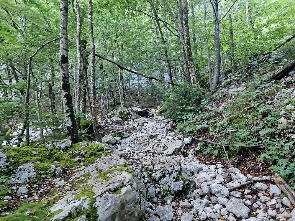 Slika je vidna v Google Chromu.