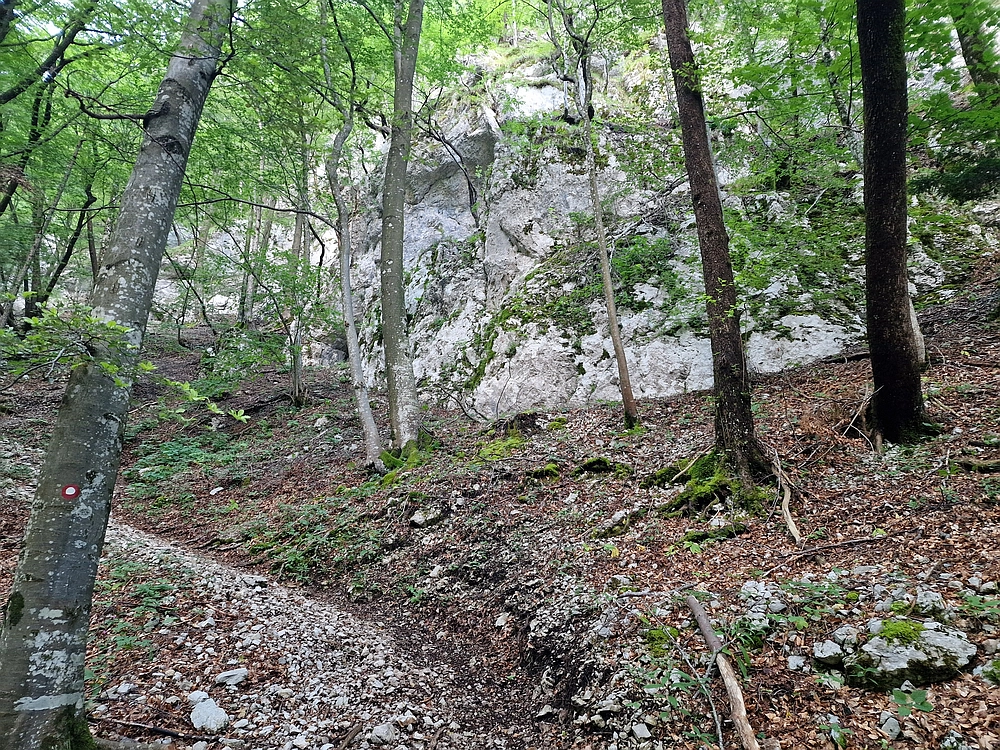 Slika je vidna v Google Chromu.