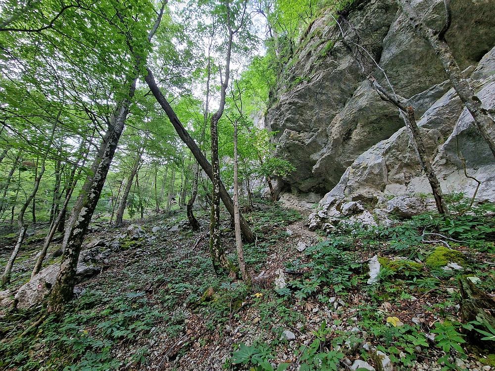 Slika je vidna v Google Chromu.