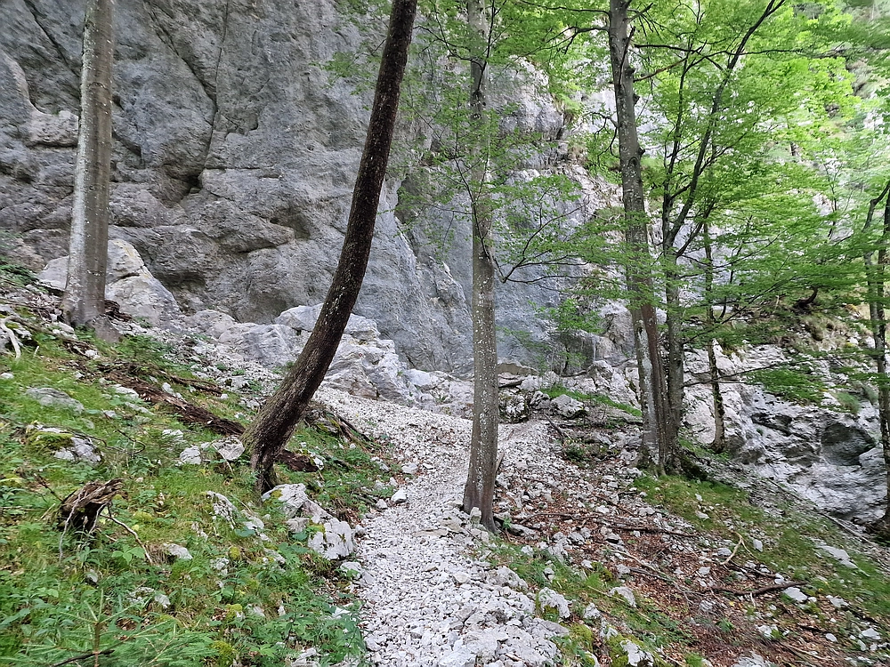 Slika je vidna v Google Chromu.