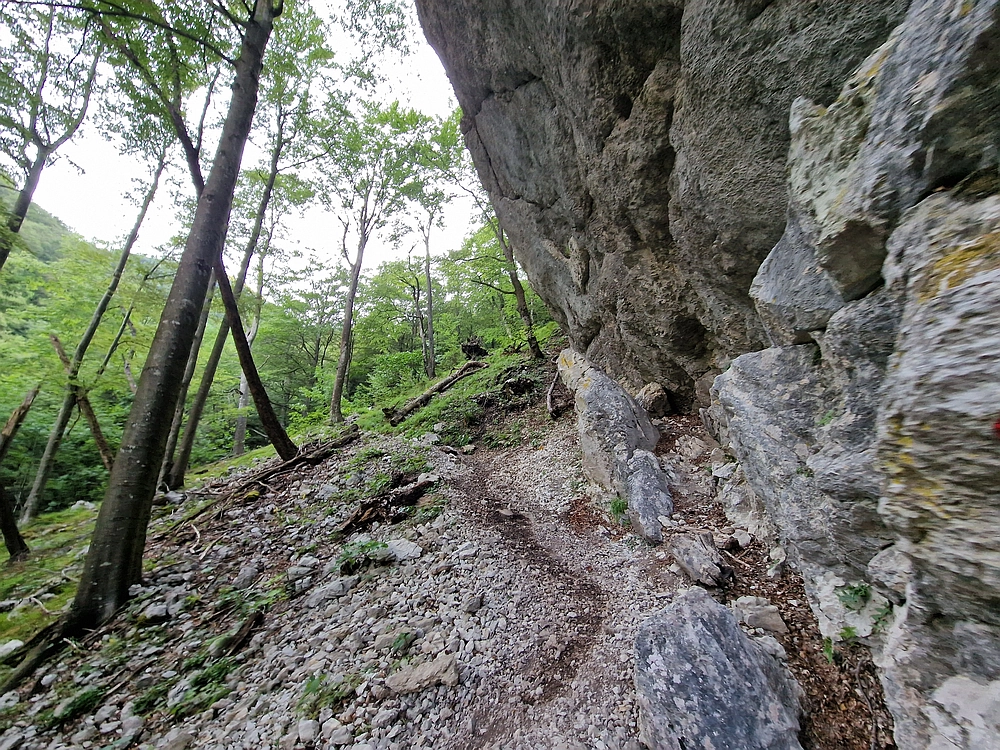 Slika je vidna v Google Chromu.
