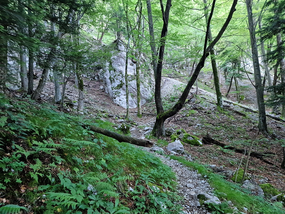 Slika je vidna v Google Chromu.