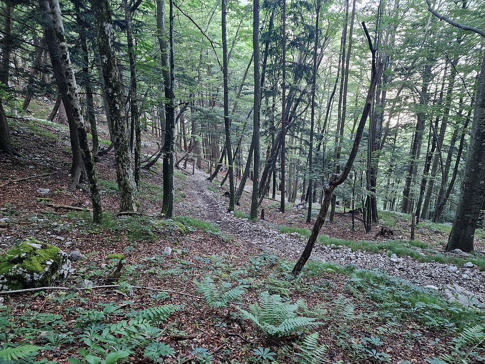 Slika je vidna v Google Chromu.