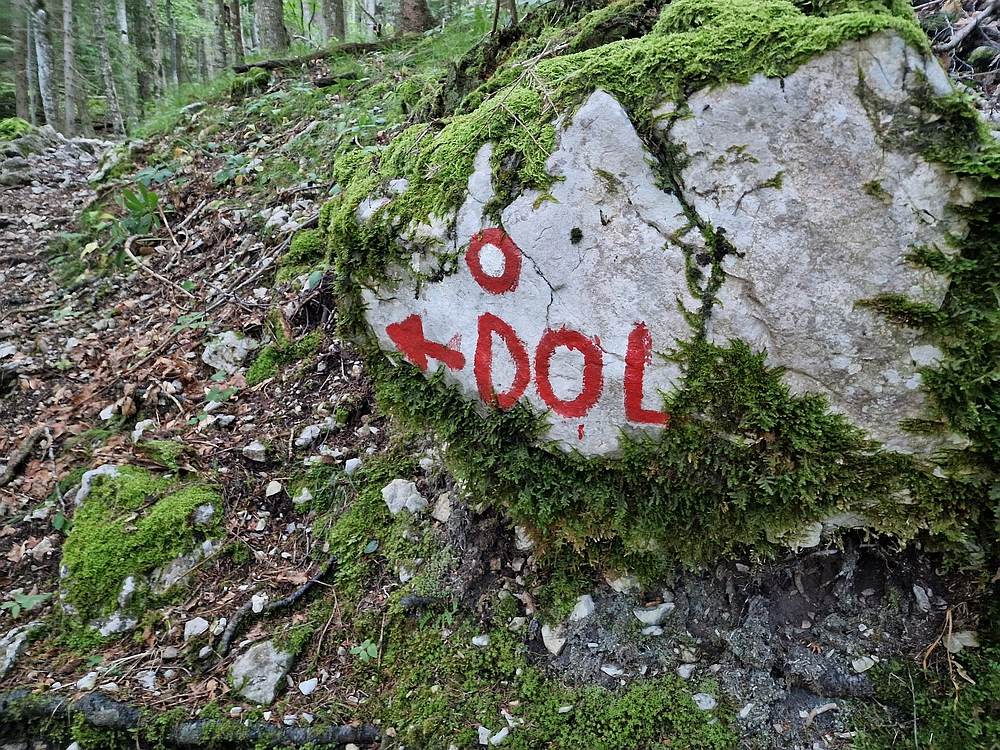 Slika je vidna v Google Chromu.