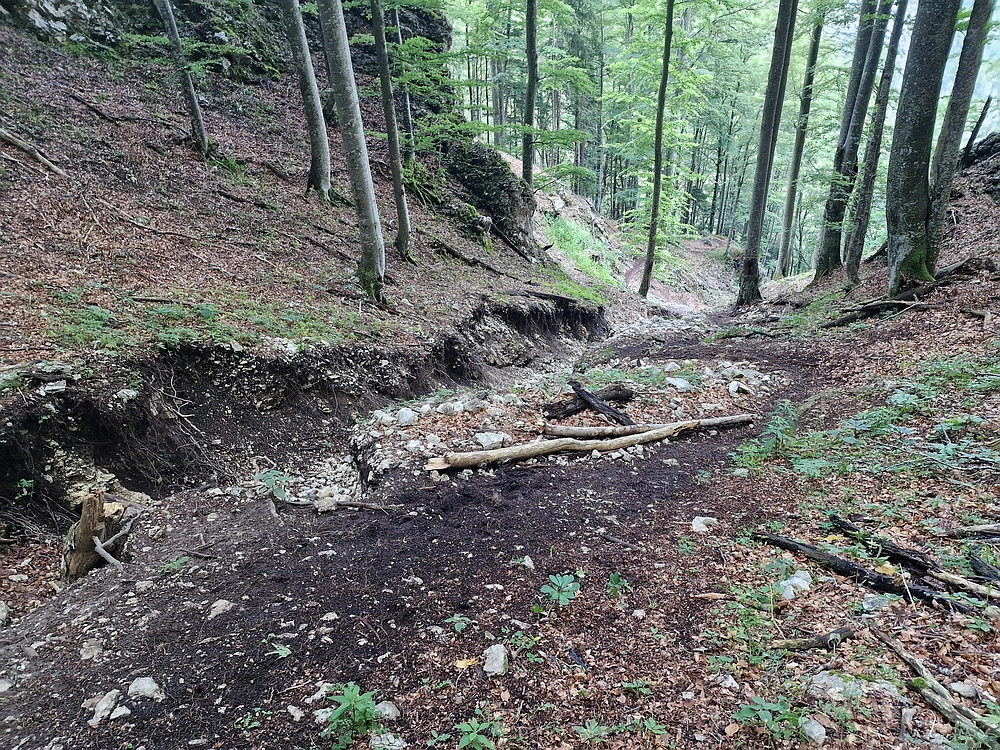 Slika je vidna v Google Chromu.