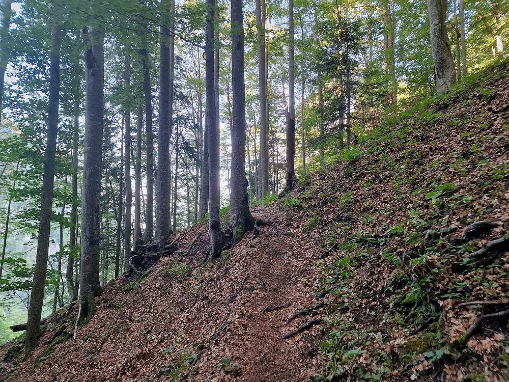 Slika je vidna v Google Chromu.