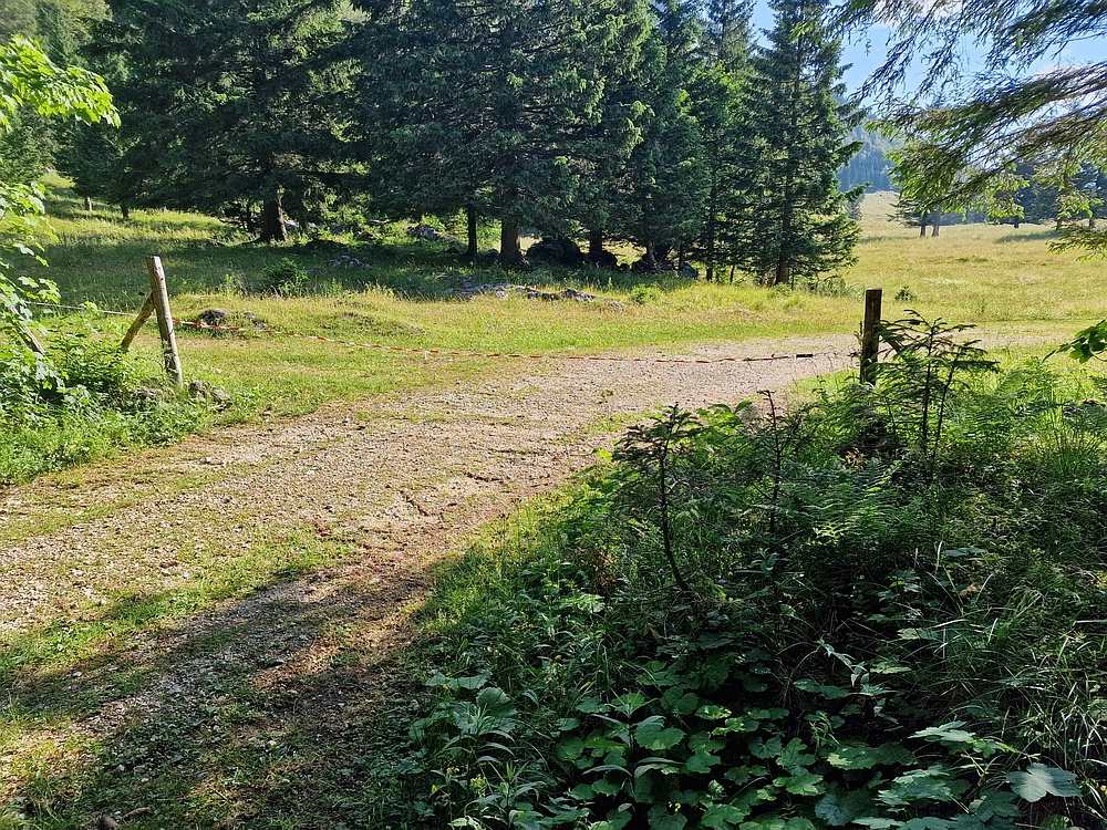 Slika je vidna v Google Chromu.