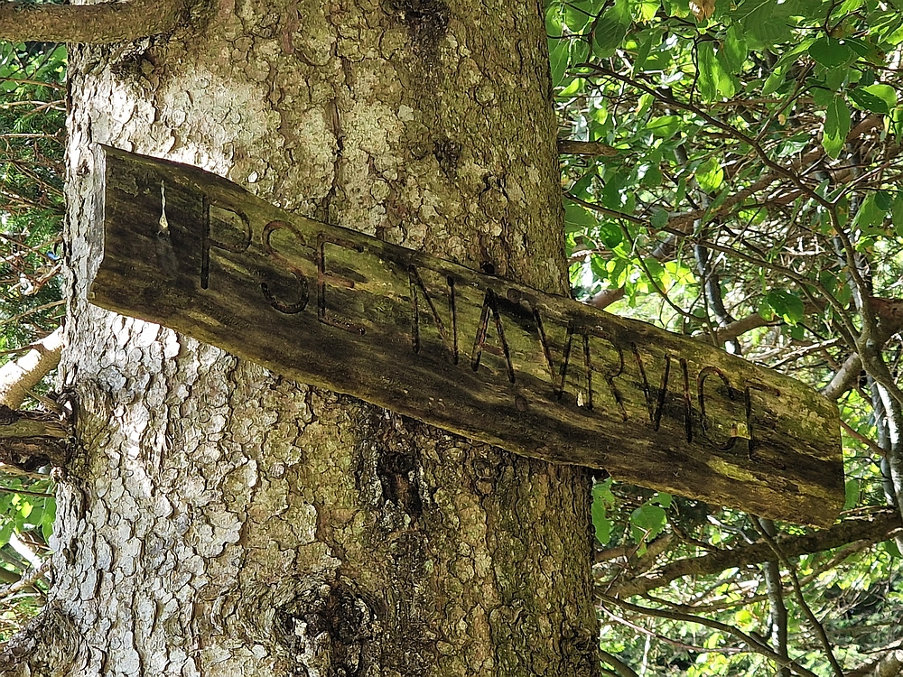 Slika je vidna v Google Chromu.