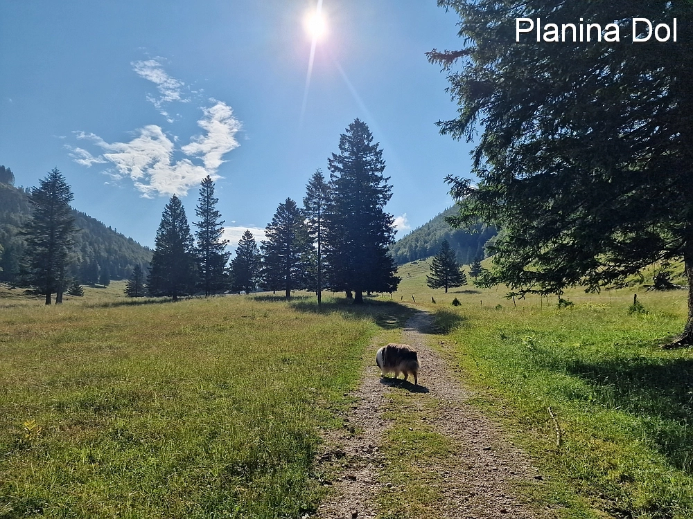 Slika je vidna v Google Chromu.