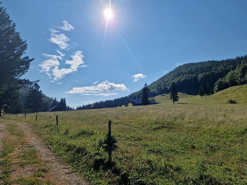 Slika je vidna v Google Chromu.