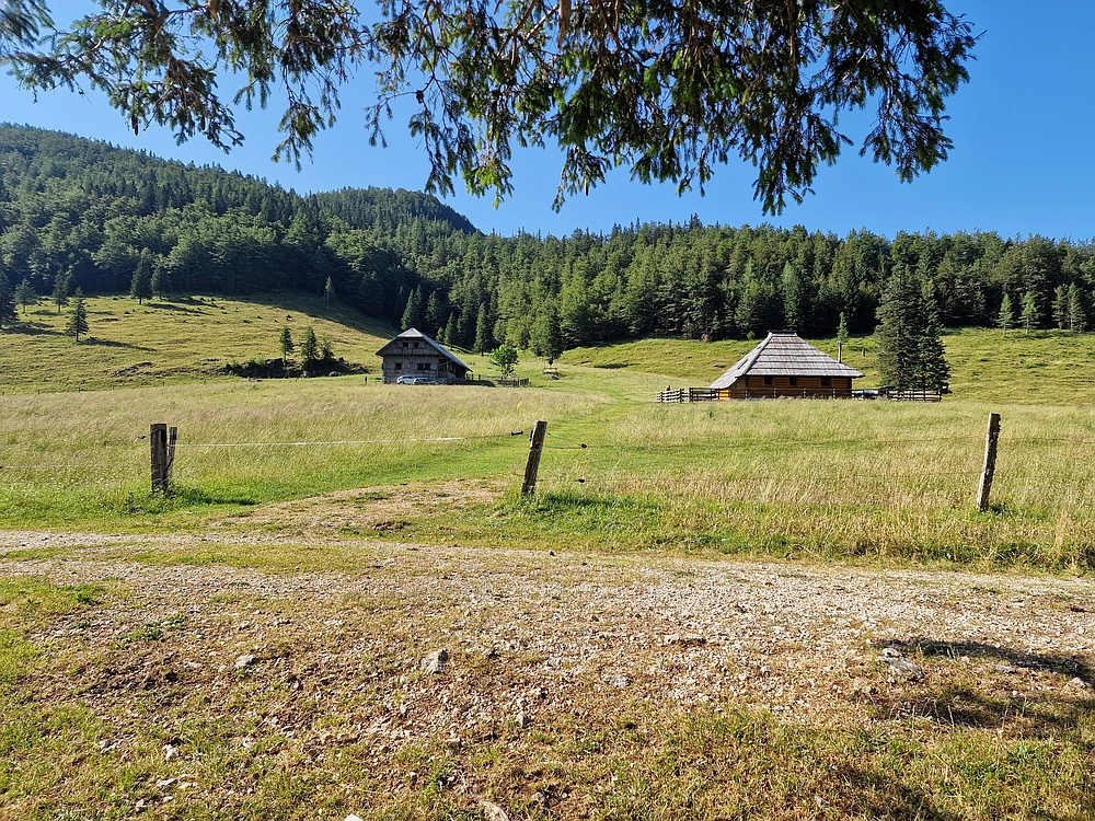 Slika je vidna v Google Chromu.