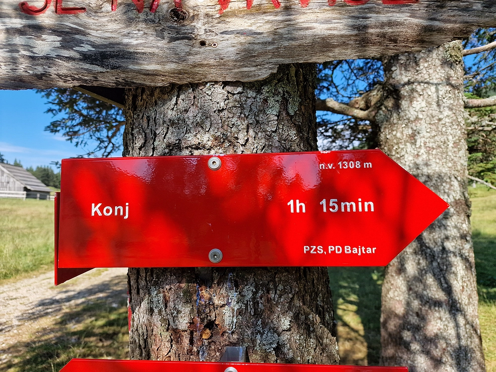 Slika je vidna v Google Chromu.