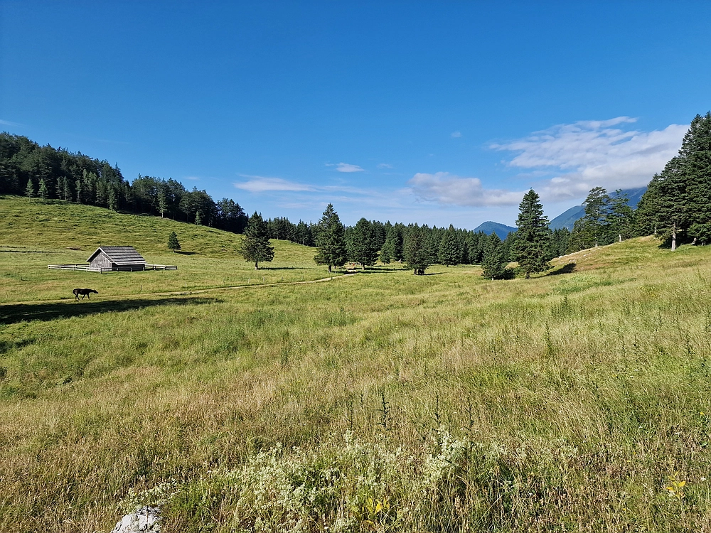 Slika je vidna v Google Chromu.