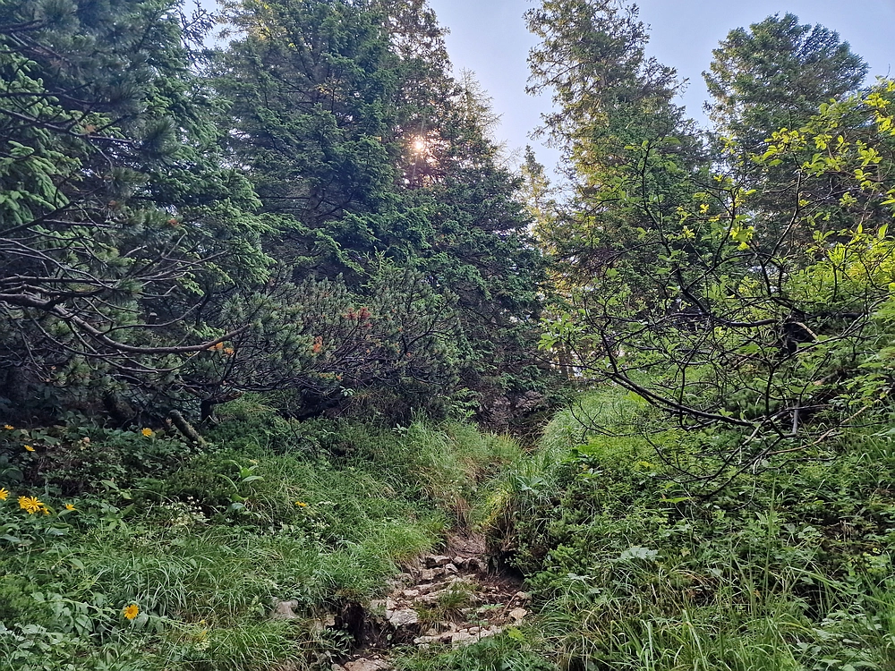 Slika je vidna v Google Chromu.