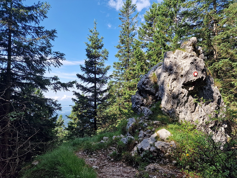 Slika je vidna v Google Chromu.