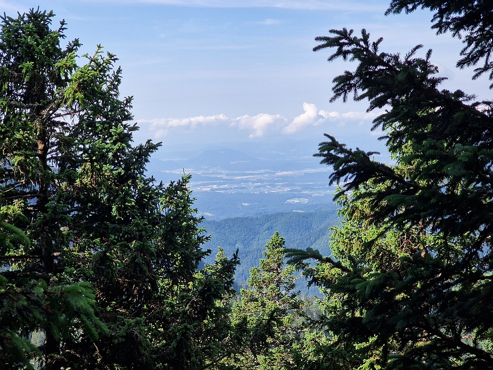 Slika je vidna v Google Chromu.