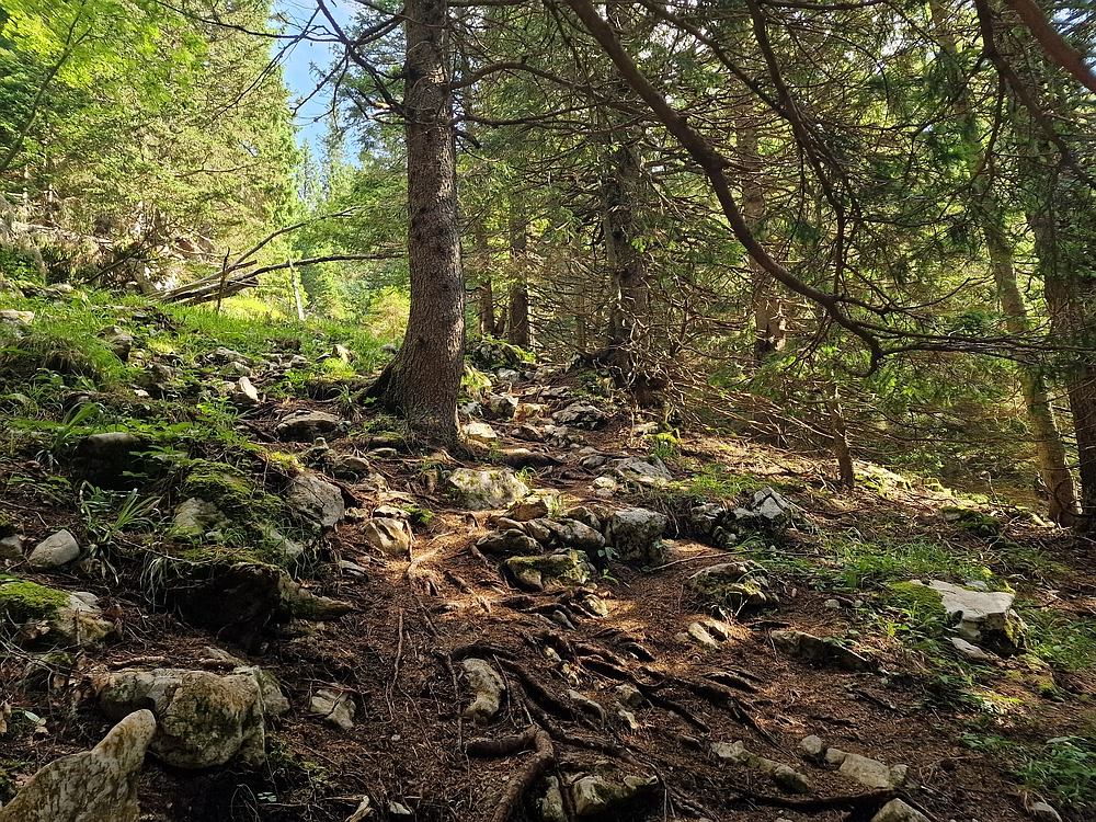 Slika je vidna v Google Chromu.