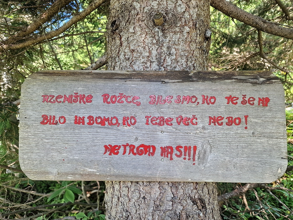 Slika je vidna v Google Chromu.