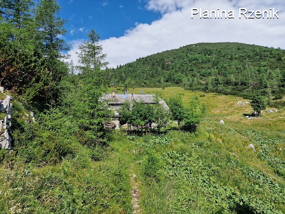 Slika je vidna v Google Chromu.