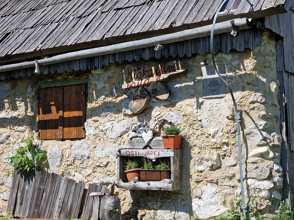 Slika je vidna v Google Chromu.