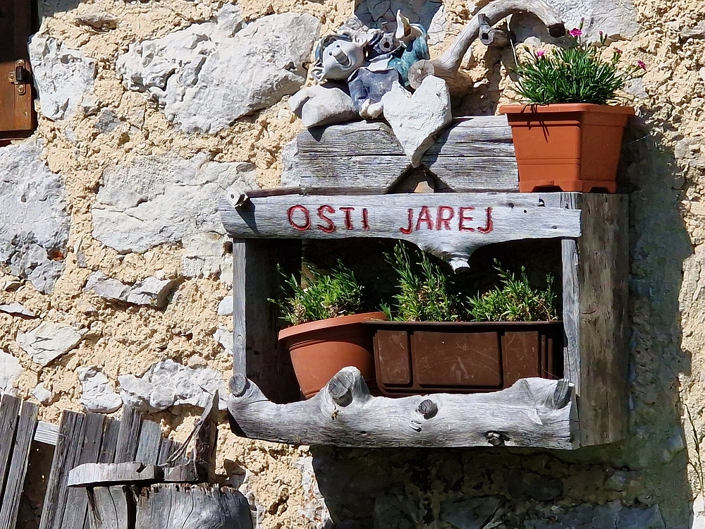 Slika je vidna v Google Chromu.