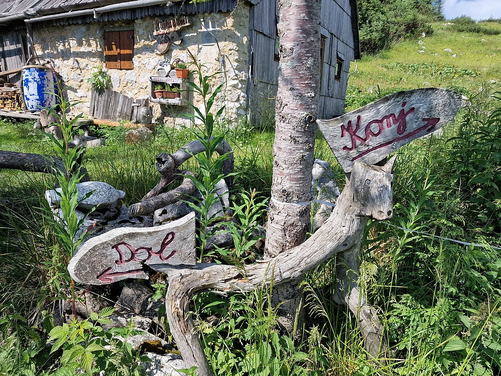 Slika je vidna v Google Chromu.