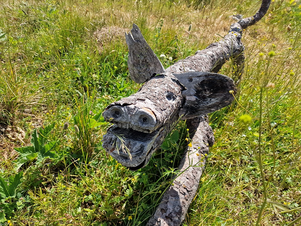 Slika je vidna v Google Chromu.