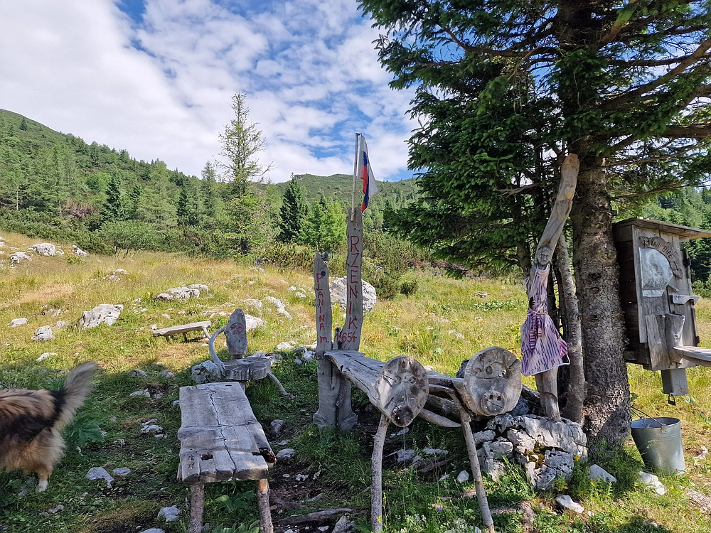 Slika je vidna v Google Chromu.