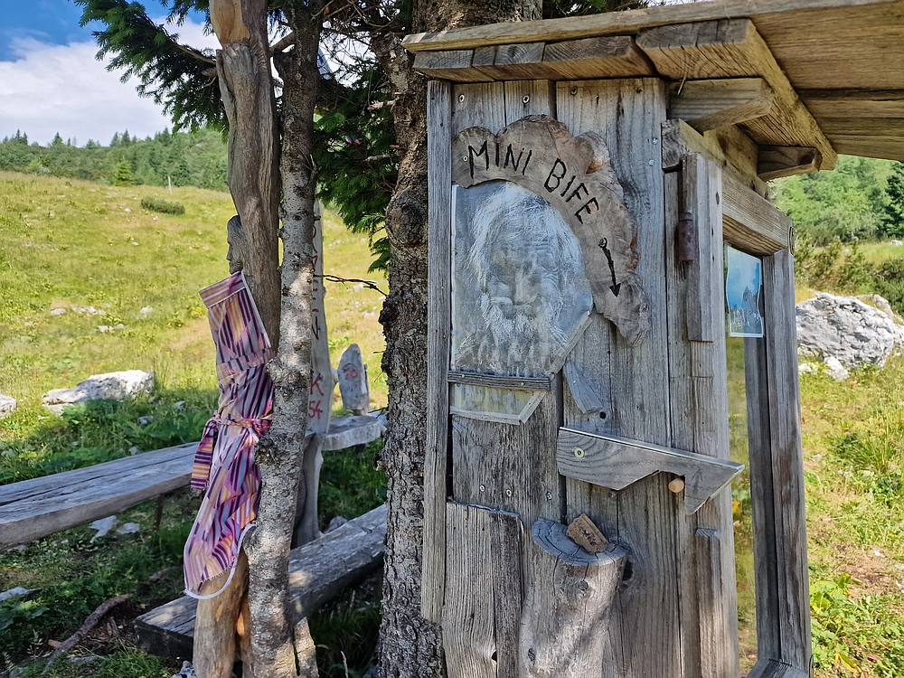 Slika je vidna v Google Chromu.