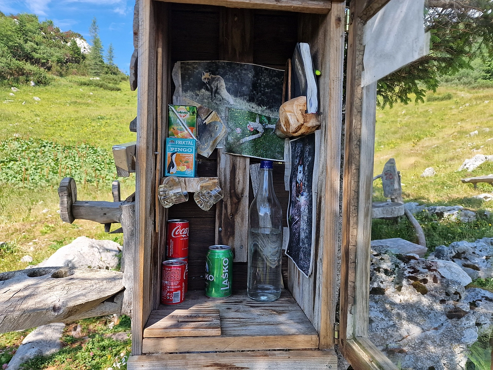 Slika je vidna v Google Chromu.