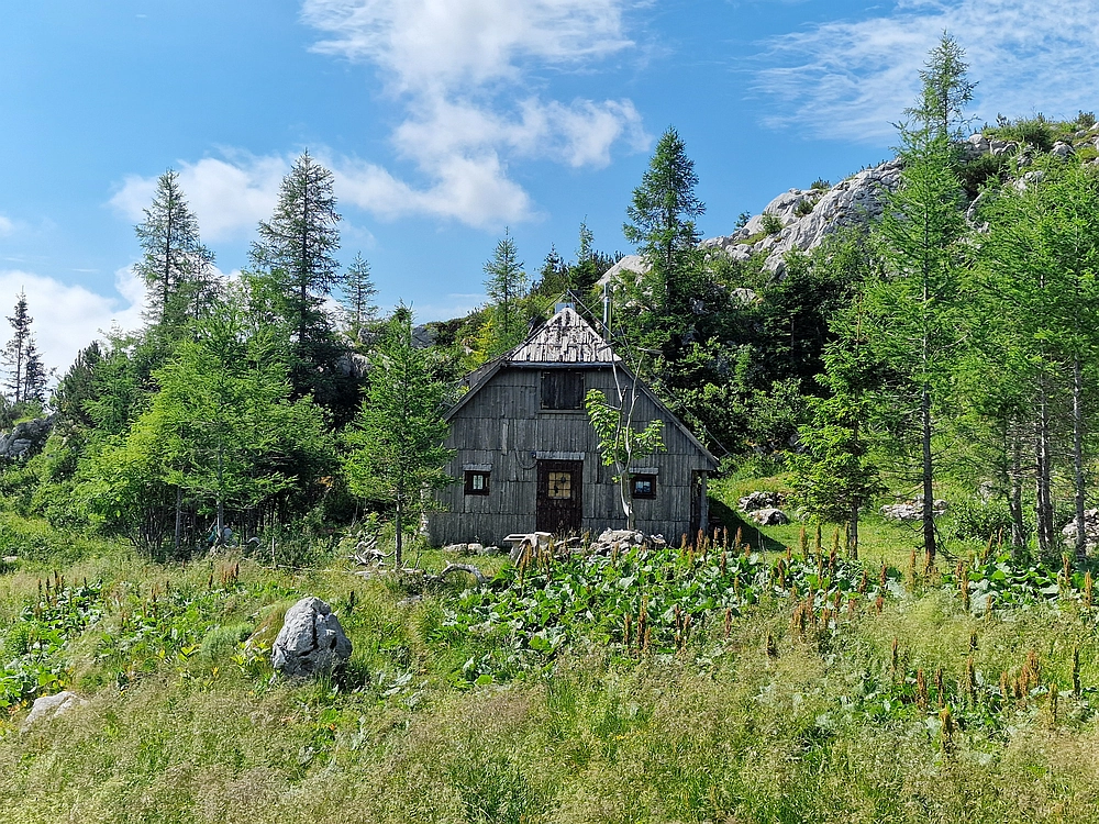 Slika je vidna v Google Chromu.