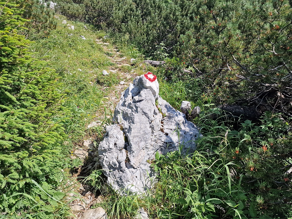 Slika je vidna v Google Chromu.