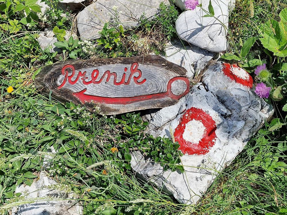 Slika je vidna v Google Chromu.