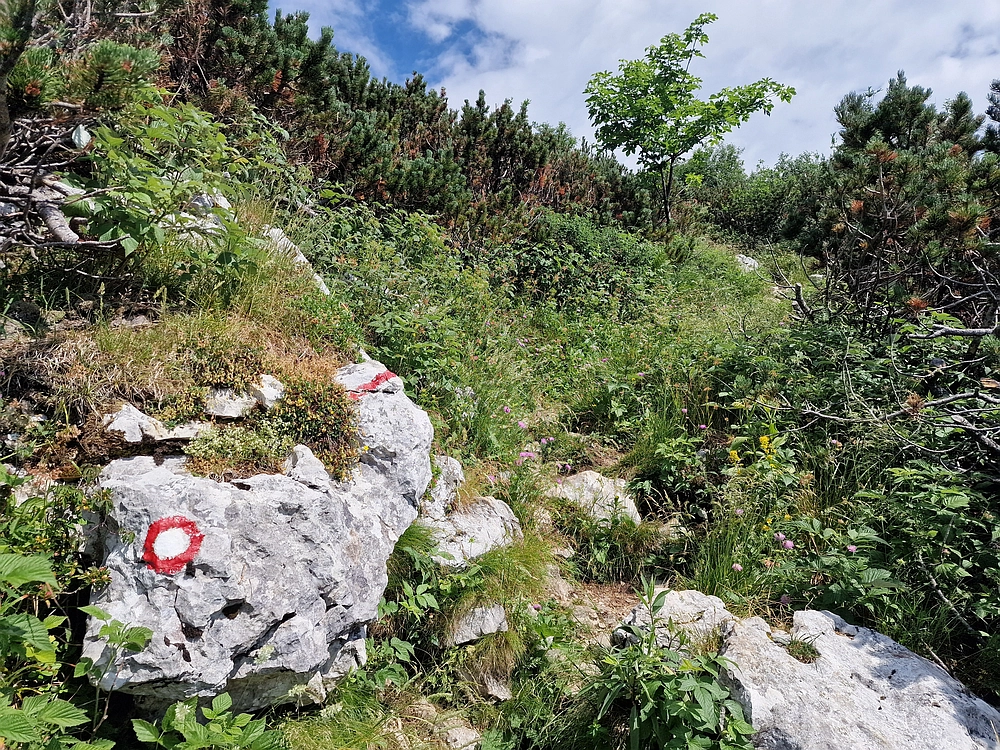 Slika je vidna v Google Chromu.