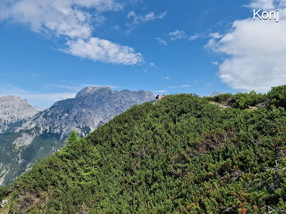 Slika je vidna v Google Chromu.