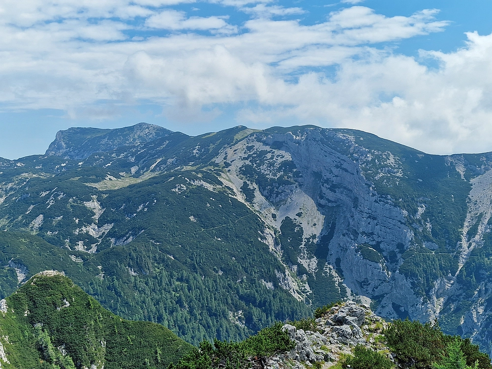 Slika je vidna v Google Chromu.