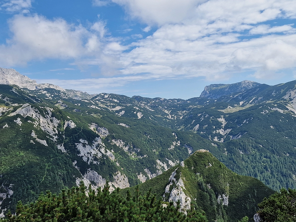 Slika je vidna v Google Chromu.