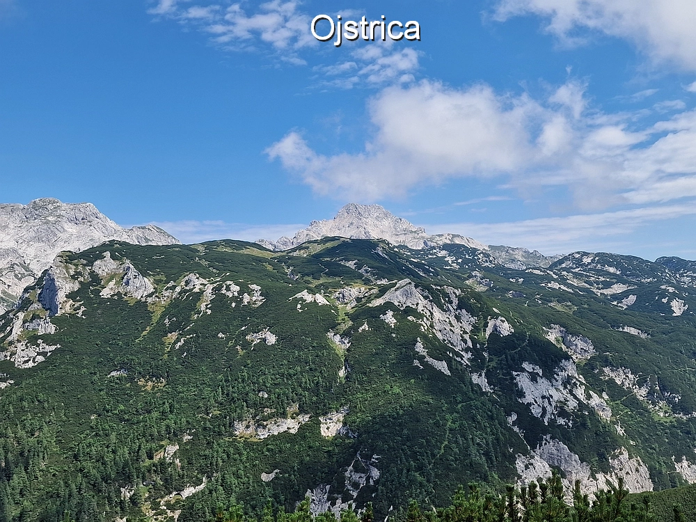 Slika je vidna v Google Chromu.